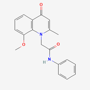 2-(8-methoxy-2-methyl-4-oxoquinolin-1(4H)-yl)-N-phenylacetamide