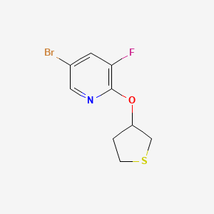 5-Bromo-3-fluoro-2-(thiolan-3-yloxy)pyridine