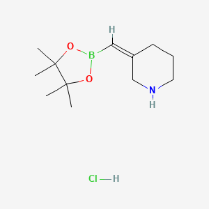 (3Z)-3-[(4,4,5,5-Tetramethyl-1,3,2-dioxaborolan-2-yl)methylidene]piperidine;hydrochloride