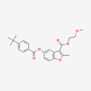 molecular formula C24H26O6 B2828629 2-Methoxyethyl 5-((4-(tert-butyl)benzoyl)oxy)-2-methylbenzofuran-3-carboxylate CAS No. 637749-47-4