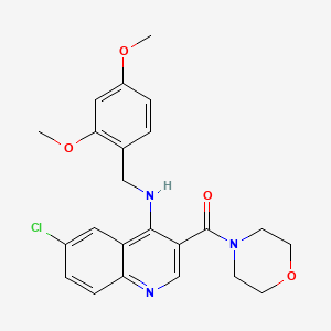 molecular formula C23H24ClN3O4 B2828866 {6-Chloro-4-[(2,4-dimethoxybenzyl)amino]quinolin-3-yl}(morpholin-4-yl)methanone CAS No. 1326883-90-2
