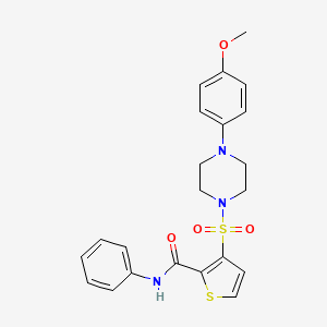 molecular formula C22H23N3O4S2 B2828924 3-{[4-(4-methoxyphenyl)piperazin-1-yl]sulfonyl}-N-phenylthiophene-2-carboxamide CAS No. 1207035-29-7