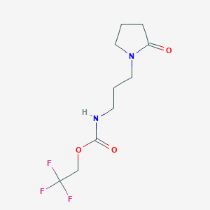 molecular formula C10H15F3N2O3 B2828981 2,2,2-trifluoroethyl N-[3-(2-oxopyrrolidin-1-yl)propyl]carbamate CAS No. 878217-97-1