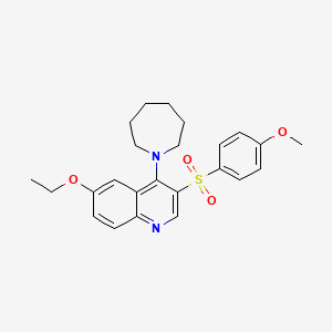 molecular formula C24H28N2O4S B2829393 4-(Azepan-1-yl)-6-ethoxy-3-(4-methoxyphenyl)sulfonylquinoline CAS No. 866895-31-0