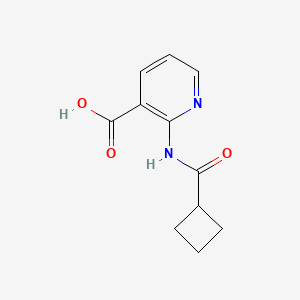 molecular formula C11H12N2O3 B2830366 2-(Cyclobutanecarbonylamino)pyridine-3-carboxylic acid CAS No. 1342989-24-5