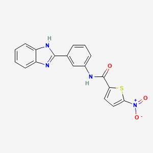 N-[3-(1H-benzimidazol-2-yl)phenyl]-5-nitrothiophene-2-carboxamide