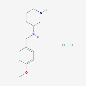 N-(4-Methoxybenzyl)piperidin-3-amine hydrochloride