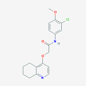 N-(3-chloro-4-methoxyphenyl)-2-((5,6,7,8-tetrahydroquinolin-4-yl)oxy)acetamide