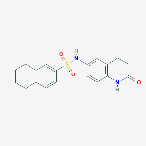 molecular formula C19H20N2O3S B2832732 N-(2-oxo-1,2,3,4-tetrahydroquinolin-6-yl)-5,6,7,8-tetrahydronaphthalene-2-sulfonamide CAS No. 922059-42-5