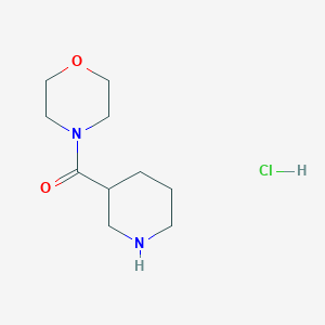 molecular formula C10H19ClN2O2 B2832847 Morpholino(piperidin-3-yl)methanone hydrochloride CAS No. 1172703-44-4; 35090-96-1