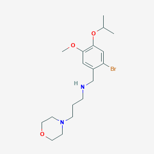 molecular formula C18H29BrN2O3 B283291 N-[(2-bromo-5-methoxy-4-propan-2-yloxyphenyl)methyl]-3-morpholin-4-ylpropan-1-amine 