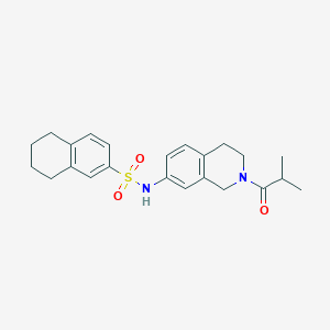 molecular formula C23H28N2O3S B2833072 N-(2-isobutyryl-1,2,3,4-tetrahydroisoquinolin-7-yl)-5,6,7,8-tetrahydronaphthalene-2-sulfonamide CAS No. 955696-30-7