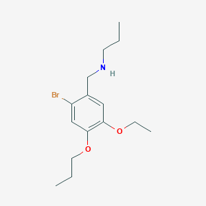 molecular formula C15H24BrNO2 B283355 N-(2-bromo-5-ethoxy-4-propoxybenzyl)-N-propylamine 