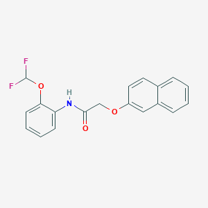 molecular formula C19H15F2NO3 B283359 N-[2-(difluoromethoxy)phenyl]-2-(2-naphthyloxy)acetamide 