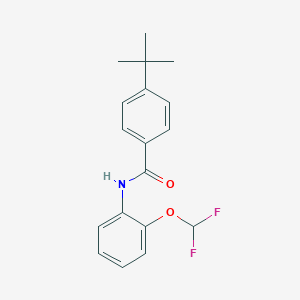 molecular formula C18H19F2NO2 B283363 4-tert-butyl-N-[2-(difluoromethoxy)phenyl]benzamide 