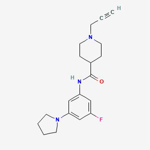 molecular formula C19H24FN3O B2833634 N-[3-fluoro-5-(pyrrolidin-1-yl)phenyl]-1-(prop-2-yn-1-yl)piperidine-4-carboxamide CAS No. 1280843-85-7