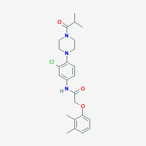 molecular formula C24H30ClN3O3 B283386 N-[3-chloro-4-(4-isobutyryl-1-piperazinyl)phenyl]-2-(2,3-dimethylphenoxy)acetamide 