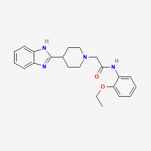 molecular formula C22H26N4O2 B2833887 2-[4-(1H-苯并咪唑-2-基)哌啶-1-基]-N-(2-乙氧基苯基)乙酰胺 CAS No. 836691-33-9