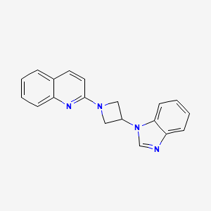 molecular formula C19H16N4 B2835406 2-[3-(Benzimidazol-1-yl)azetidin-1-yl]quinoline CAS No. 2380183-96-8
