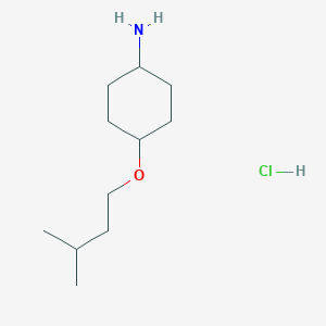 molecular formula C11H24ClNO B2836053 (1R,4r)-4-(3-methylbutoxy)cyclohexan-1-amine hydrochloride CAS No. 2031242-58-5