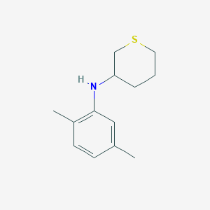 molecular formula C13H19NS B2837831 N-(2,5-dimethylphenyl)thian-3-amine CAS No. 1341051-81-7