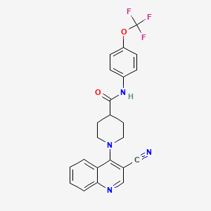 molecular formula C23H19F3N4O2 B2837902 1-(3-cyanoquinolin-4-yl)-N-[4-(trifluoromethoxy)phenyl]piperidine-4-carboxamide CAS No. 1207002-16-1
