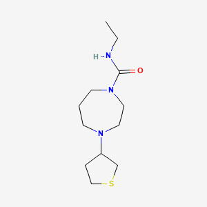 molecular formula C12H23N3OS B2837953 N-乙基-4-(四氢噻吩-3-基)-1,4-二氮杂环庚烷-1-甲酰胺 CAS No. 2319801-53-9