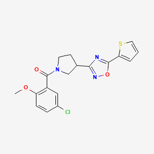 molecular formula C18H16ClN3O3S B2838277 (5-氯-2-甲氧基苯基)(3-(5-(噻吩-2-基)-1,2,4-噁二唑-3-基)吡咯烷-1-基)甲酮 CAS No. 2034277-98-8