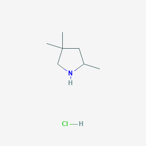 molecular formula C7H16ClN B2838560 2,4,4-Trimethylpyrrolidine hydrochloride CAS No. 700378-26-3
