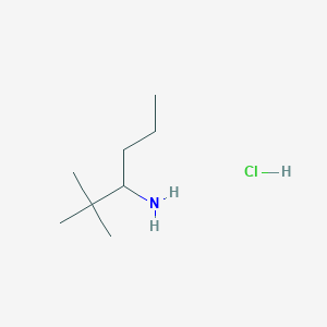 molecular formula C8H20ClN B2838721 2,2-二甲基己酸-3-胺 盐酸盐 CAS No. 1864063-57-9
