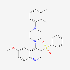 molecular formula C28H29N3O3S B2839029 4-(4-(2,3-Dimethylphenyl)piperazin-1-yl)-6-methoxy-3-(phenylsulfonyl)quinoline CAS No. 866843-31-4