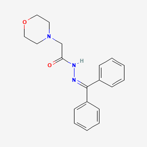 molecular formula C19H21N3O2 B2839281 N'-(diphenylmethylene)-2-morpholinoacetohydrazide CAS No. 339106-17-1