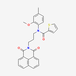 molecular formula C28H24N2O4S B2839732 N-[3-(1,3-二氧代-2-苯并[de]异喹啉-1-基)丙基]-N-(2-甲氧基-4-甲基苯基)-2-噻吩甲酸酰胺 CAS No. 300574-21-4