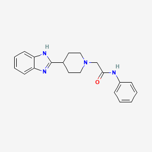 molecular formula C20H22N4O B2840225 2-(4-(1H-苯并[d]咪唑-2-基)哌啶-1-基)-N-苯乙酰胺 CAS No. 887214-41-7