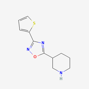 molecular formula C11H13N3OS B2840562 3-[3-(噻吩-2-基)-1,2,4-噁二唑-5-基]哌啶 CAS No. 1036568-67-8