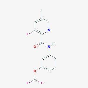 molecular formula C14H11F3N2O2 B2840673 N-[3-(difluoromethoxy)phenyl]-3-fluoro-5-methylpyridine-2-carboxamide CAS No. 2415584-33-5