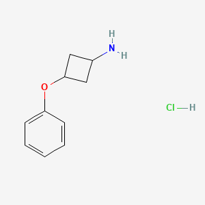molecular formula C10H14ClNO B2840739 3-Phenoxycyclobutanamine hydrochloride, trans, trans CAS No. 1955473-81-0