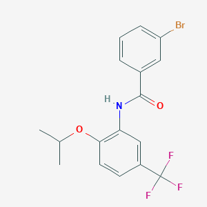 molecular formula C17H15BrF3NO2 B284121 3-bromo-N-[2-isopropoxy-5-(trifluoromethyl)phenyl]benzamide 
