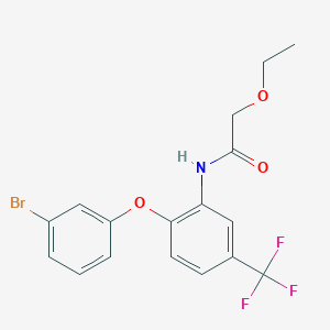 molecular formula C17H15BrF3NO3 B284123 N-[2-(3-bromophenoxy)-5-(trifluoromethyl)phenyl]-2-ethoxyacetamide 