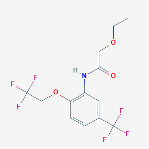 molecular formula C13H13F6NO3 B284127 2-ethoxy-N-[2-(2,2,2-trifluoroethoxy)-5-(trifluoromethyl)phenyl]acetamide 