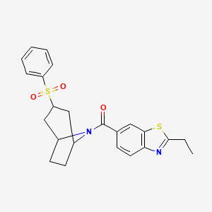 molecular formula C23H24N2O3S2 B2841643 (2-ethylbenzo[d]thiazol-6-yl)((1R,5S)-3-(phenylsulfonyl)-8-azabicyclo[3.2.1]octan-8-yl)methanone CAS No. 1797176-36-3