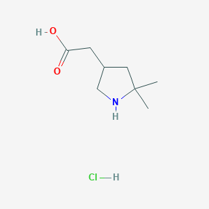 molecular formula C8H16ClNO2 B2841971 2-(5,5-Dimethylpyrrolidin-3-yl)acetic acid;hydrochloride CAS No. 2375259-86-0