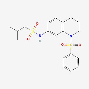 molecular formula C19H24N2O4S2 B2842508 N-[1-(苯磺酰基)-3,4-二氢-2H-喹啉-7-基]-2-甲基丙烷-1-磺酰胺 CAS No. 1170480-35-9