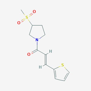 molecular formula C12H15NO3S2 B2842682 (E)-1-(3-(甲磺基)吡咯啉-1-基)-3-(噻吩-2-基)丙-2-烯-1-酮 CAS No. 1448139-07-8