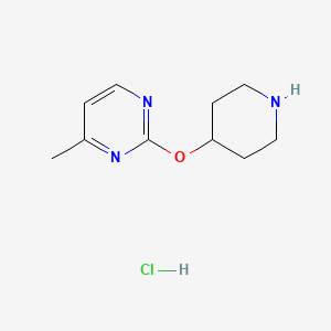 molecular formula C10H16ClN3O B2842779 4-甲基-2-(哌啶-4-氧基)嘧啶盐酸盐 CAS No. 1420847-89-7