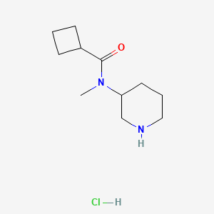 molecular formula C11H21ClN2O B2843305 N-Methyl-N-piperidin-3-ylcyclobutanecarboxamide;hydrochloride CAS No. 2548984-95-6