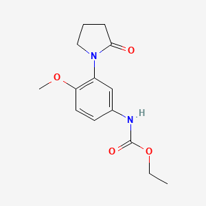 molecular formula C14H18N2O4 B2843457 Ethyl (4-methoxy-3-(2-oxopyrrolidin-1-yl)phenyl)carbamate CAS No. 922904-38-9