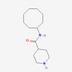molecular formula C14H27ClN2O B2844296 N-cyclooctylpiperidine-4-carboxamide CAS No. 1385694-34-7