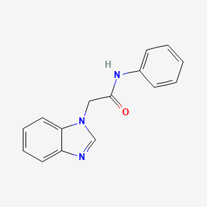 molecular formula C15H13N3O B2844314 2-(1H-1,3-benzodiazol-1-yl)-N-phenylacetamide CAS No. 116488-20-1