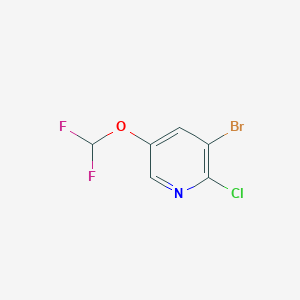 molecular formula C6H3BrClF2NO B2844577 3-Difluoromethoxy-5-bromo-6-chloropyridine CAS No. 130115-90-1